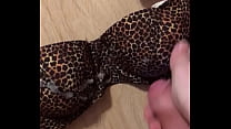 Cum on my step mom sexy leopard bra
