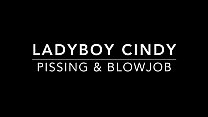 Thai Ladyboy Cindy Hot Blowjob