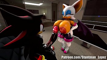 Rouge And Shadow (Commissione: jimmythereptile)