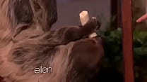 Sloth shows dick eating skills