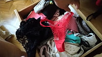 Thong, panties, lingerie, underwear