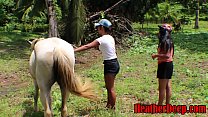 Юные девушки и член размером с лошадь