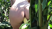 Райли Джейкобс играет на кукурузном поле