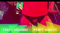 Panty dreams panty haul compilation