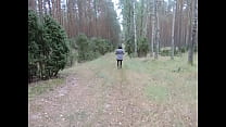 Beata forest walk