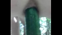 Cucumber ass