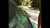 Bike path park bench